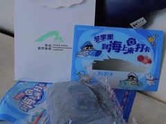 -招商蛇口邮轮母港(观光客运)