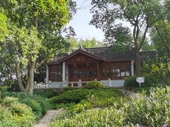 -上海市保健医疗中心