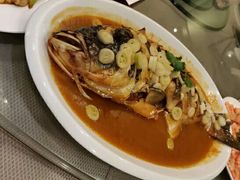 家炖花鲢鱼-大谊园