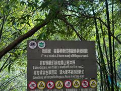 -香桥岩溶国家地质公园