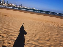 -青岛第三海水浴场