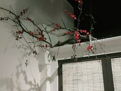 -春天来了(印象新天地店)