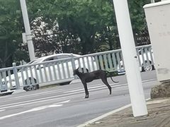 -N多寿司(相城宝燕店)