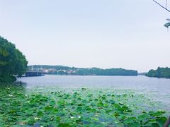 -雅和生态渔庄·宜城锅巴饭(龙灵山公园店)