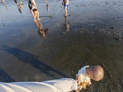 -浪琴湾度假村