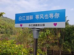 -广州白江湖森林公园