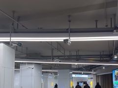 -东方体育中心(地铁站)