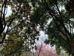 -圩墩遗址公园