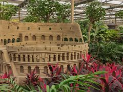 -南宫五洲植物乐园