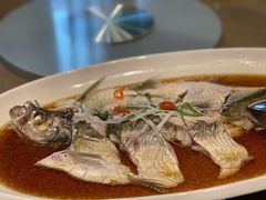 -丹江渔村(望京店)