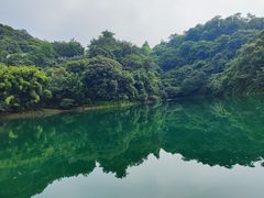-鼎湖山风景区