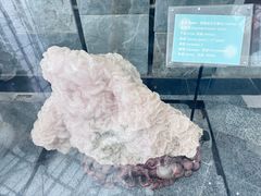 -房山世界地质公园博物馆