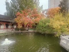 -碑林公园