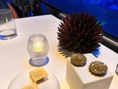 -迪拜帆船酒店海底餐厅