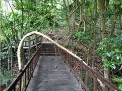 -七仙岭温泉国家森林公园
