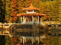 -深圳仙湖植物园