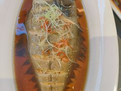 -俭寨大盘鸡·手抓肉·烧烤新疆菜(乌苏路店)