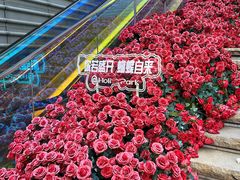 -万科生活广场(东莞松山湖店)