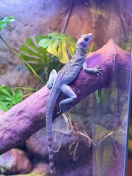 -酷嗒动物文化乐园(cutezoo西溪乐天城店)