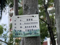 -华侨公园
