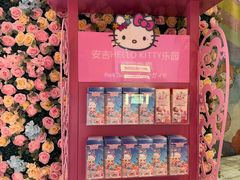 -安吉Hello Kitty乐园