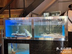 -向川南·水煮鱼·川菜(和平里店)