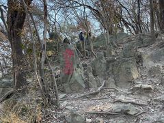 -紫金山山顶公园