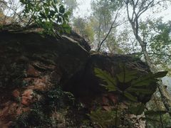 -赤水丹霞旅游区·佛光岩