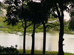 -南宁南湖公园