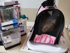 -宠颐生贝利健动物医院(谢家湾分院)