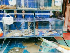 水产区-香满居张记小厨私房菜(青岛站店)
