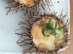 -海胆小馆(东北水饺·春柳店)