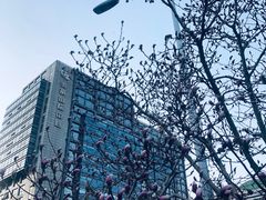 -金宫殿故址