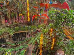 -正佳雨林生态植物园