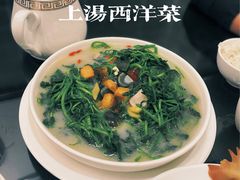 上汤西洋菜-文记壹心鸡(宝华路店)