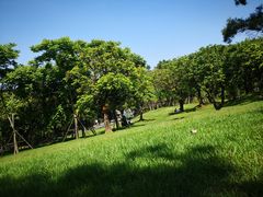 -飞凤山奥体公园