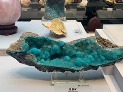 -湖南省地质博物馆