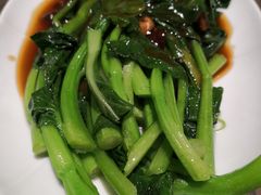 蚝油菜心-四道菜·福建菜馆(新街口金鹰店)