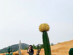 -西海岸生态观光园