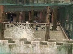 -南京金牛湖风景区