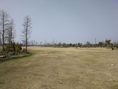 -上海长兴岛郊野公园