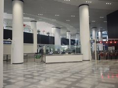-望京西(地铁站)