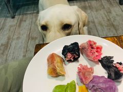 -百好乐宠物友好餐厅(朝外大街店)