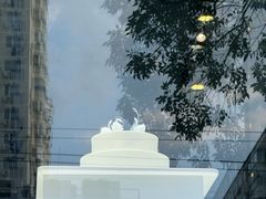 -BLACKSWAN黑天鹅(环球店)