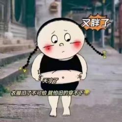 -香薇妮丝·定制减肥·身材管理
