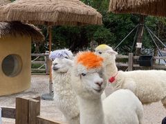 -珠海海泉湾神秘岛亲子乐园