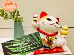 -春田皮肤管理中心品牌旗舰店