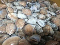 -比尔森韩式烤肉自助(绿园店)