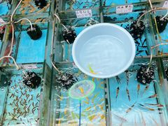 -清平路水族市场