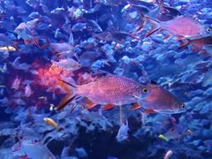 -成都浩海立方海洋公园